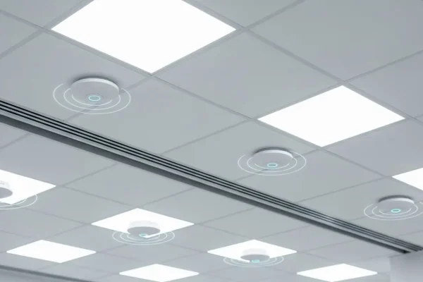 Whisk_fa1988b49a1097f889f4340ab13e1800dr